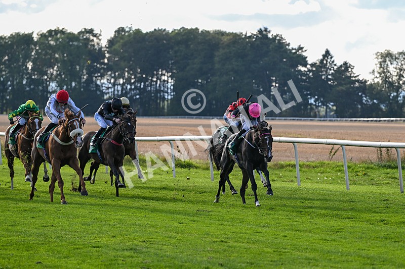 140926-Race 6-Fractional-7669 - Race 6 4.51pm Join Racing TV Today Fillies' Handicap