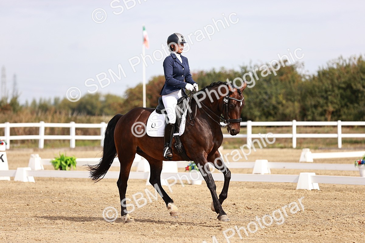 SBM_017557 - Class 11 - Advanced Medium 6