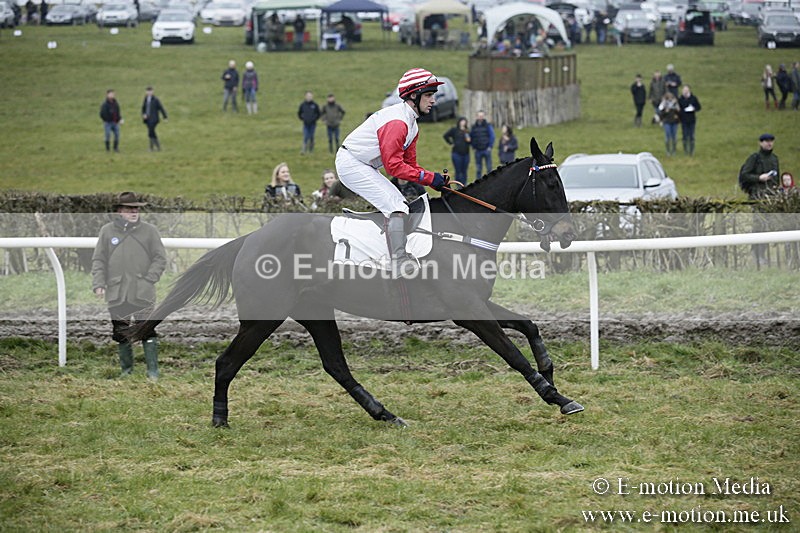 PtP 020418 -30 - Old Berks Point-to-Point Races Easter Monday 02/04/18