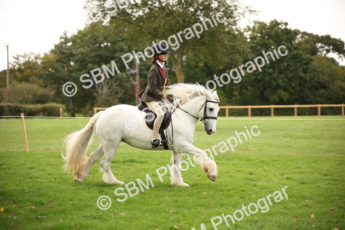 SBM_73606 - S68 - Traditional Cob Ridden