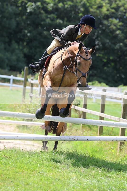 3E7A8897 - Class 6: Open Working Horse