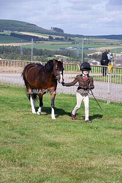 DSC_0269 - Ring 1