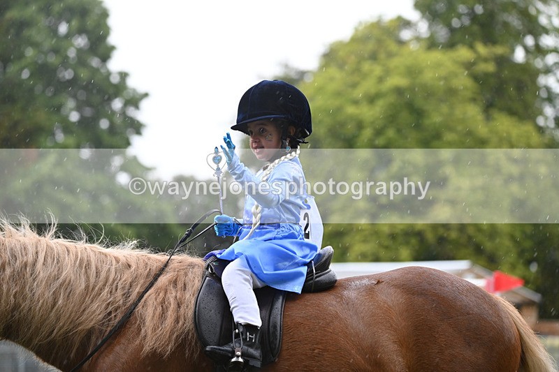 WJ6_9322 - Class 11 Fancy Dress
