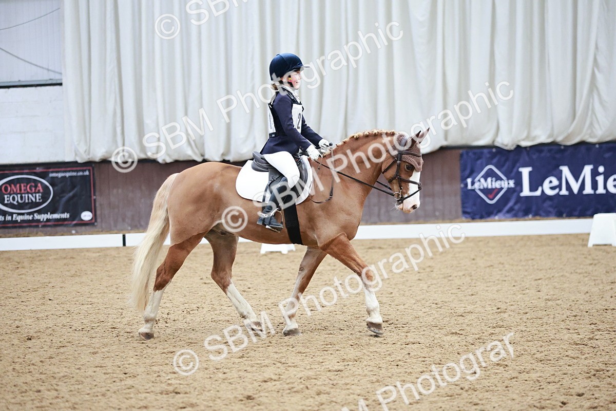 SBM_003959 - Class 2 - Novice 2020