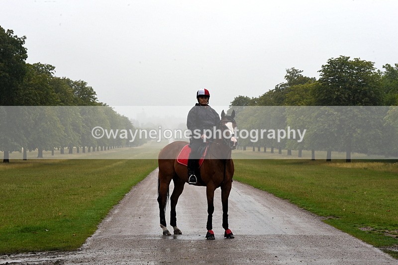 TT3_8397 - Time at Crossing 10:16 to 11:38