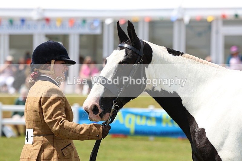 3E7A2138 - Class 10: Open Cob