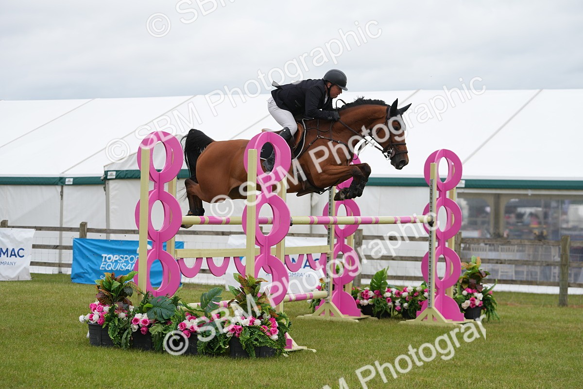 SBM_03113 - Class 201 - British Horse Feeds Speedi Beet Horse of the Year Show Grade  C