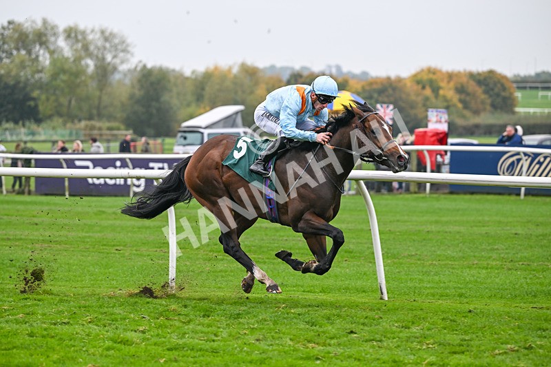181025-Race 7-Lexington Blitz-1388 - Race 7