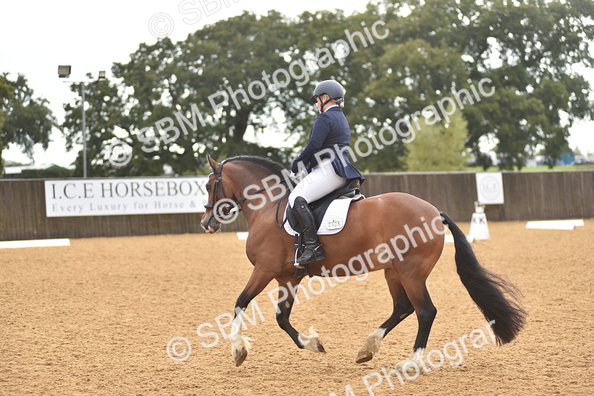 SBM_02090 - D7 - Small Tour Championship Prelim 2