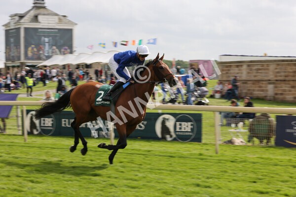 yr13052022r5-12 - Race 5 4.10pm Paddy Power 'Fill Thi Boots' Stakes
