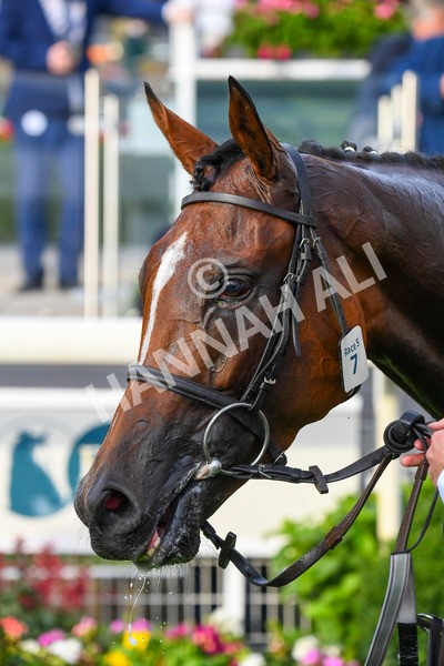 280723-Race 5-Midnight Mile-0606 - Race 5 7.15pm British EBF 40th Anniversary Lyric Fillies' Stakes