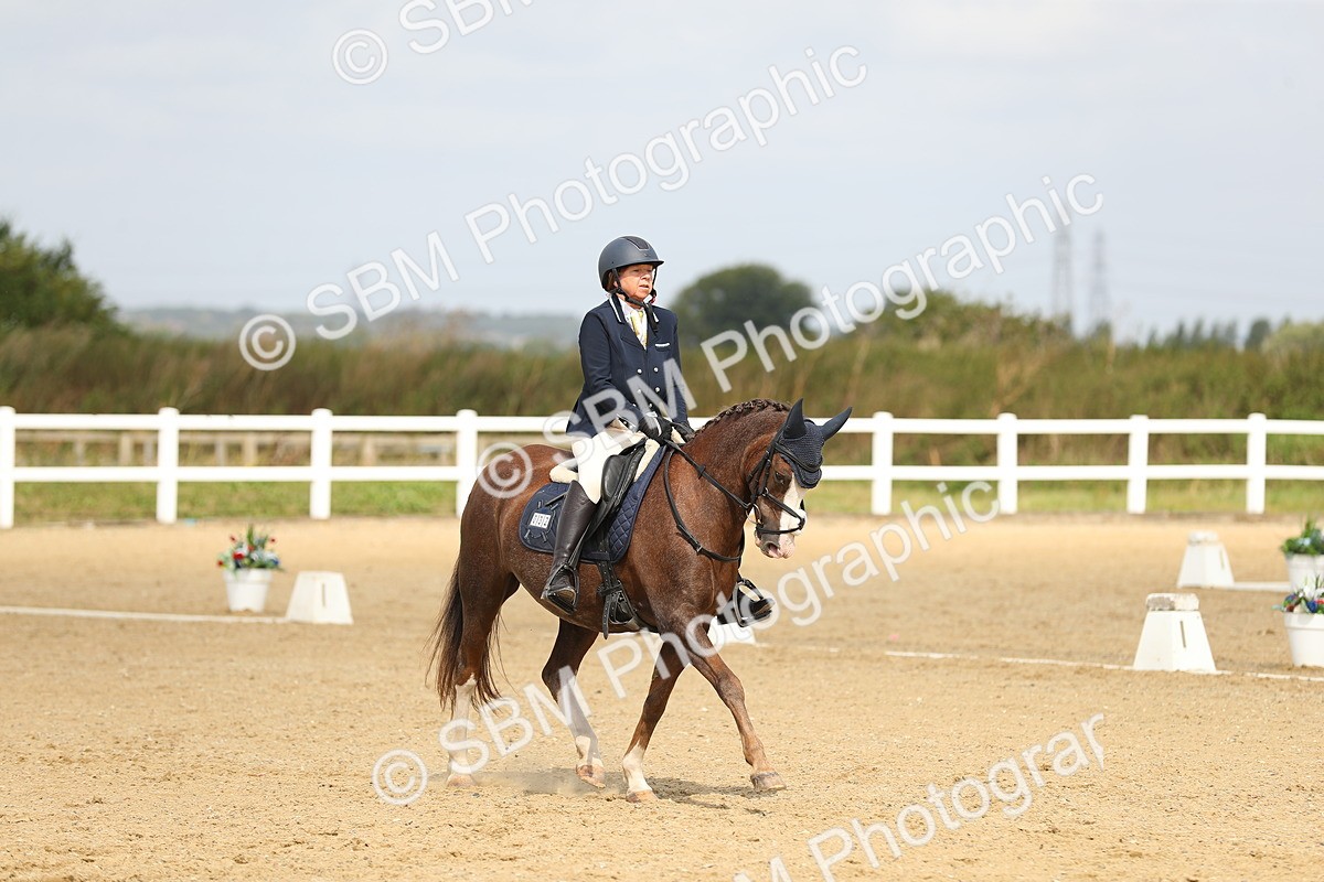 SBM_016308 - Class 13 - Novice 23 - 11.25-12.35