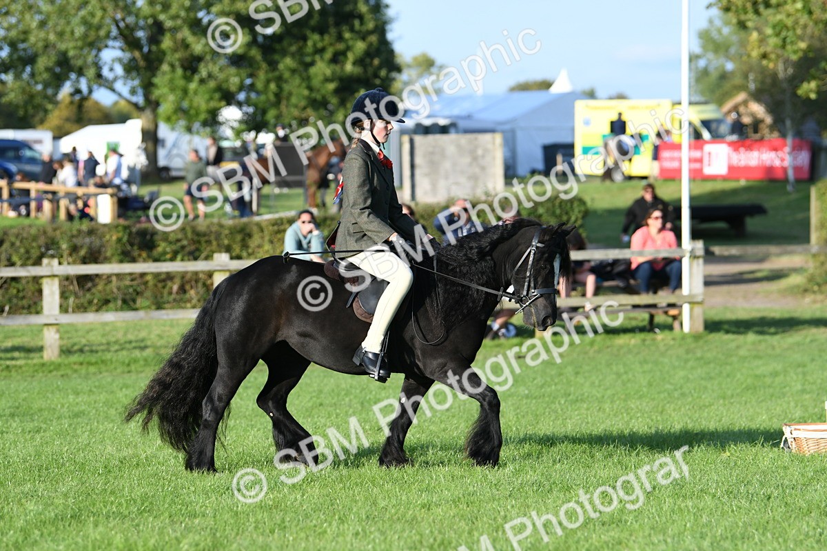 SBM_54081 - S23 - 1st Ridden Mountain & Moorland Pony