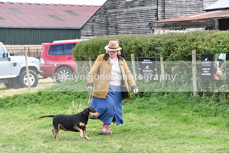 WJ5_0041 - Class 5 Best Veteran / 7 years & over