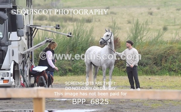 BPP_6825 - CLASS 1 Club/ Unaffiliated 80cms Open