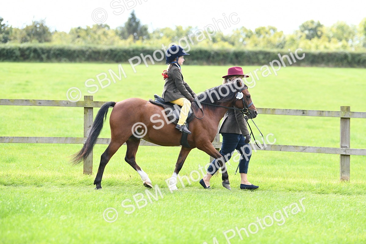 SBM_42493 - S20 - Lead Rein Mountain & Moorland Pony
