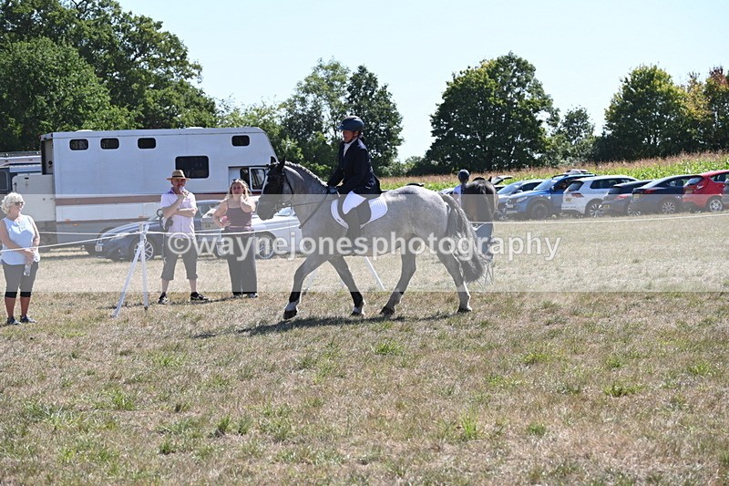 WJ6_8891 - Class 38 Ridden Riding Horse/Pony