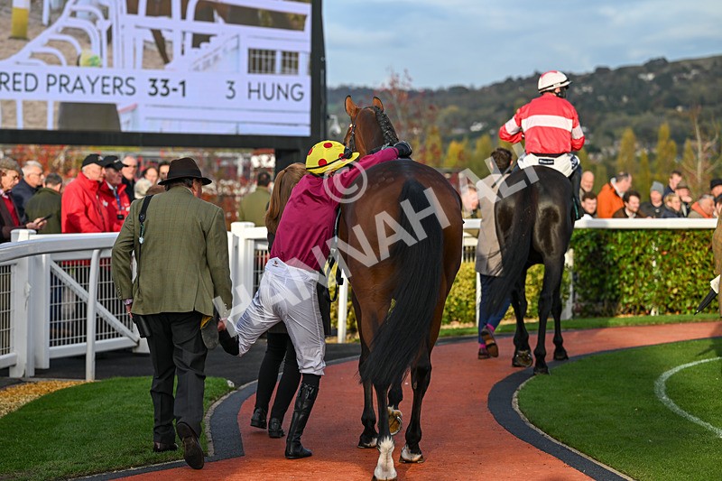 241025-Race 7-Ideal Des Bordes-5796 - Race 7