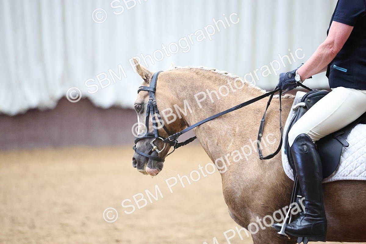 SBM_005690 - Class 3 - Novice 5