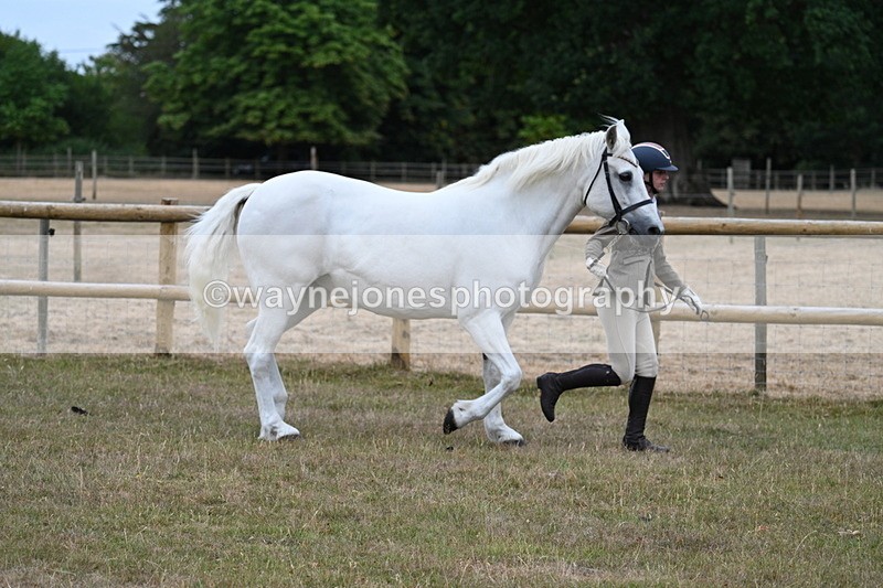 WJ7_8752 - Class 4a Prettiest Mare 14.2hh and over