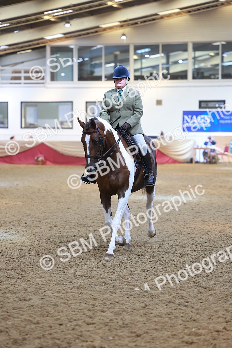 SBM_12519 - Class 103 - HOYS Veteran Qualifier - Ridden Pre Vet