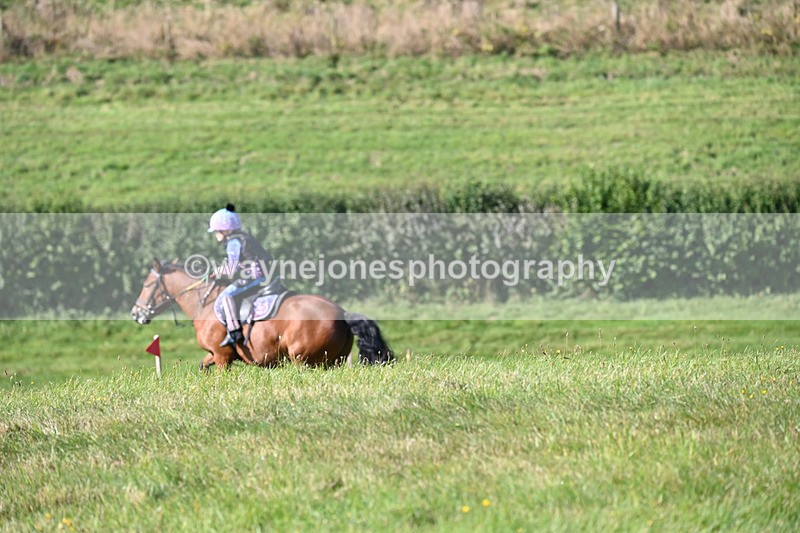 WJ6_6631 - Time 10:21 to 10:35