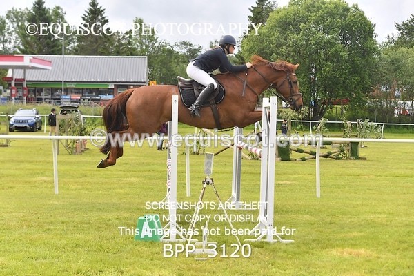 BPP_3120 - CLASS 2 SENIOR FOX/1.20M OPEN