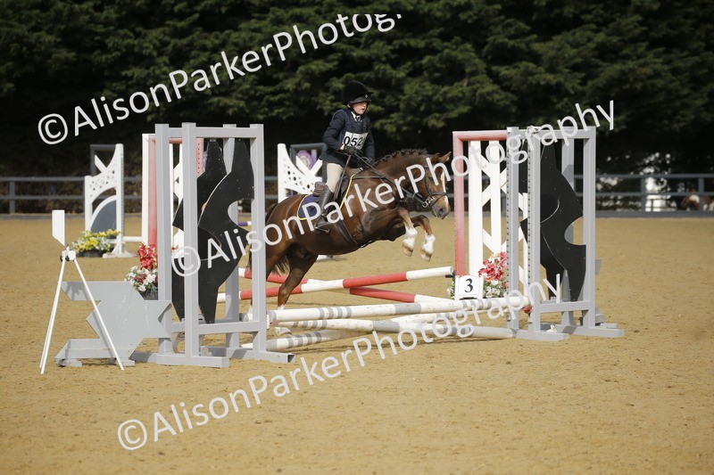 20250622-1431 - 40cm