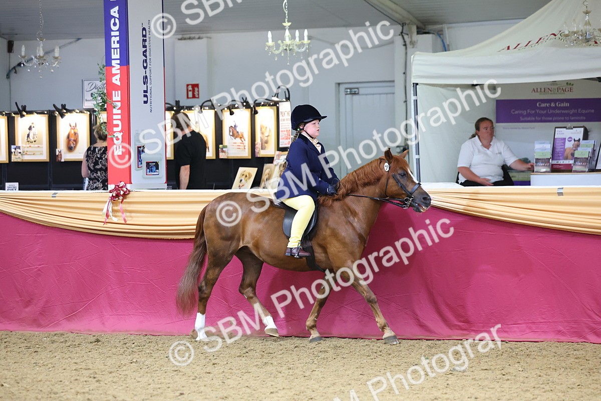 SBM_23625 - Class 904 - Supreme Final Ridden Diamond