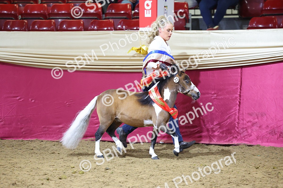 SBM_18733 - Class D IH Pony Champ