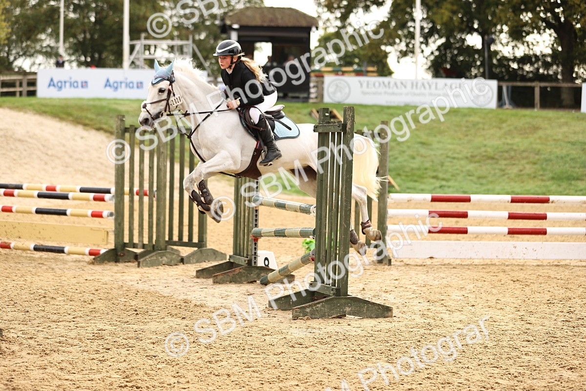 SBM_58180 - J41 - Grand Tour Horse & Pony 95cm