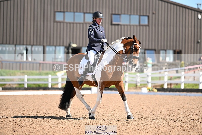 240816A-110751-04005 - 189-Mel.Day-Dolderwydd.lucky.Maisie