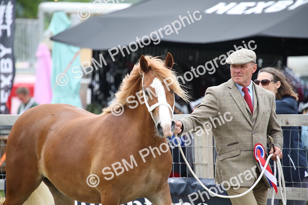 SBM_09715 - Ch 50 - Price Family Supreme In Hand