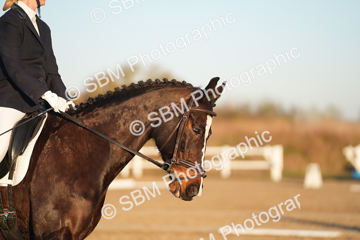 SBM_006396 - Class 6 - N2- E2-90cm