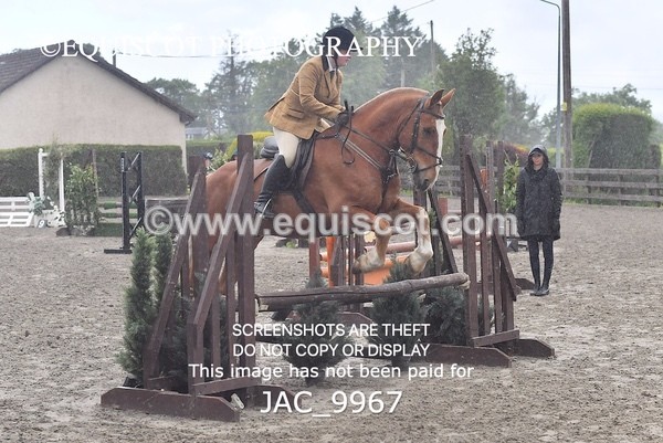 JAC_9967 - CLASS 3 Intermediate Working Hunter (0.70m - 0.85m)