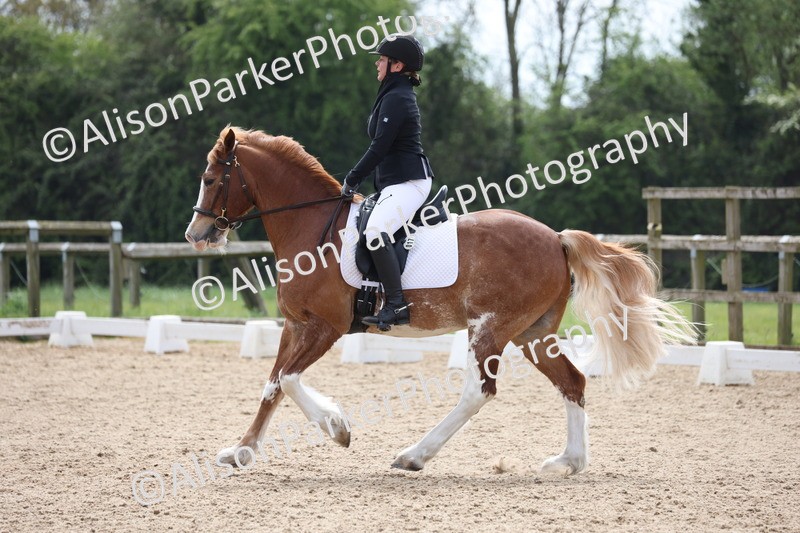 20250424-0701 - Class 4 - Novice 2