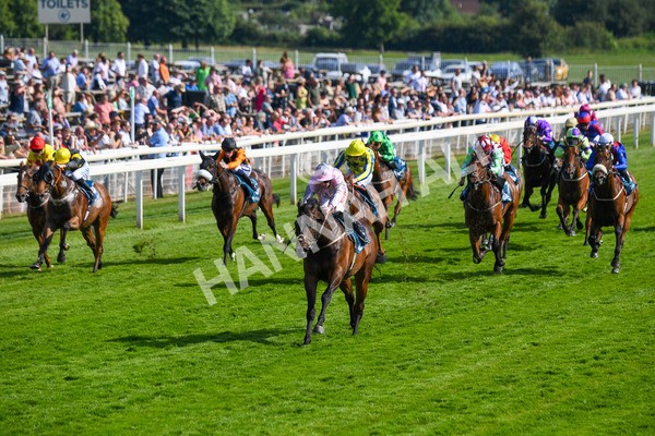 160623-Race 6-Another Investment-0688 - Race 6 4.45pm Irish Thoroughbred Marketing Handicap