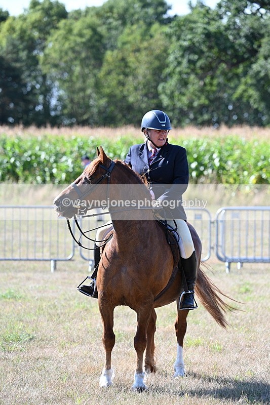 WJ7_3666 - Class 9 Mountain & Moorland Ridden