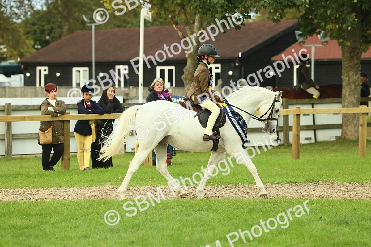 SBM_75236 - Super Supreme Championship