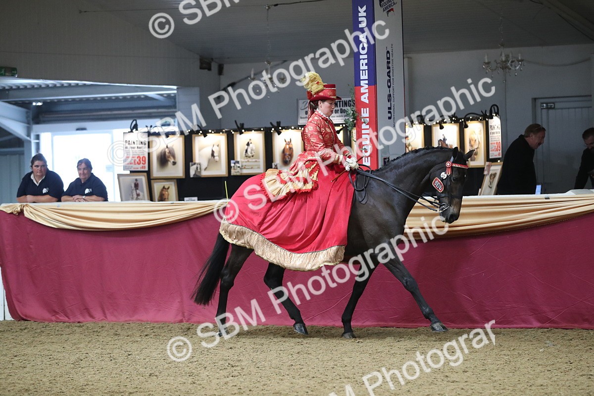 SBM_12116 - Class 107 Ridden Costume- Astride Adult (20+)