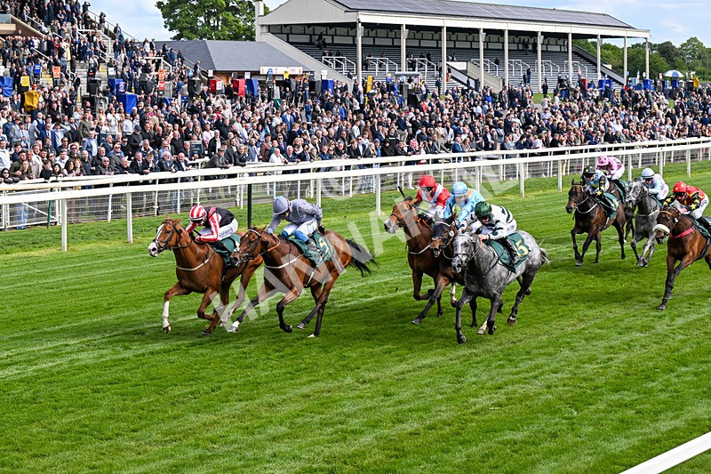 150526-Race 6-Fortification-0345 - Race 6 4.40pm Irish Thoroughbred Marketing Handicap