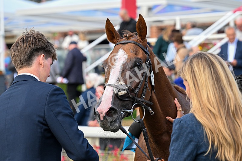 210826-Race 5-Plage De Havre-6984 - Race 5 16.10pm Assured Data Protection Handicap