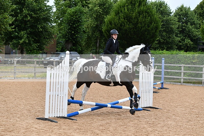 WJ5_6150 - Club 50cm