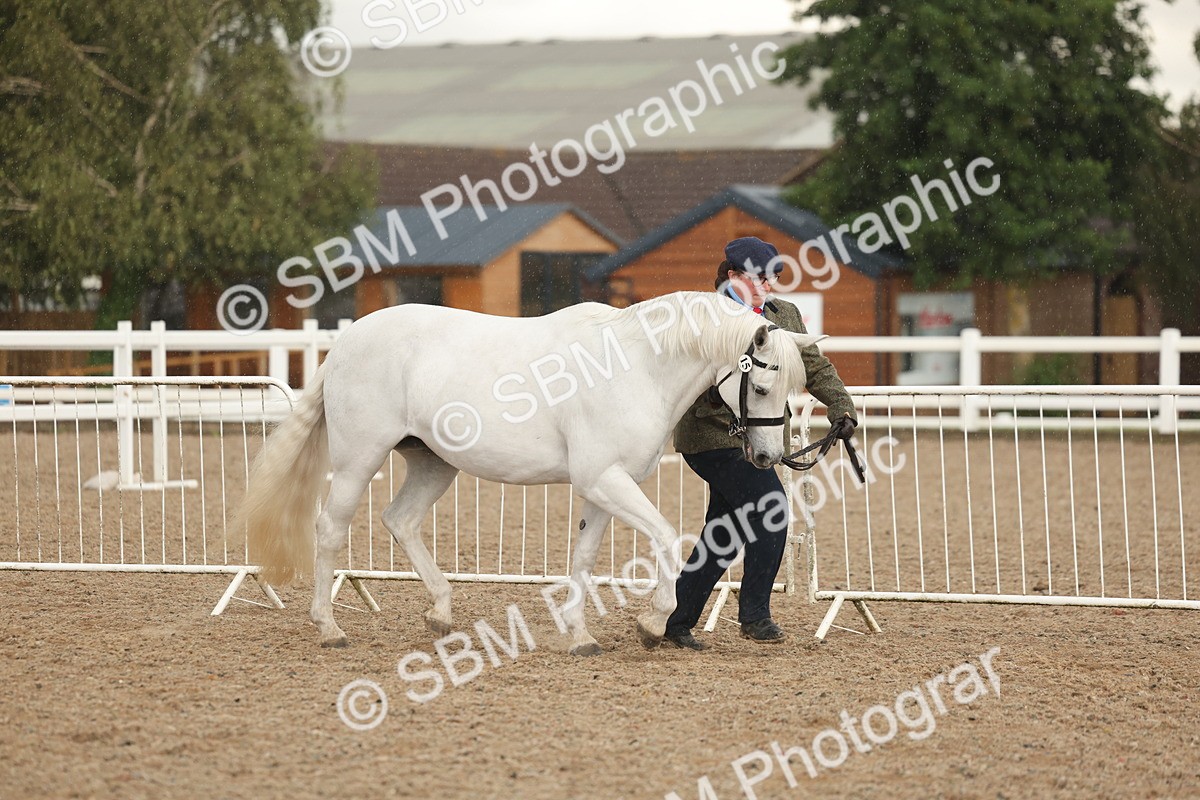 SBM_07729 - Class 27 - IH Competition Horse/Pony