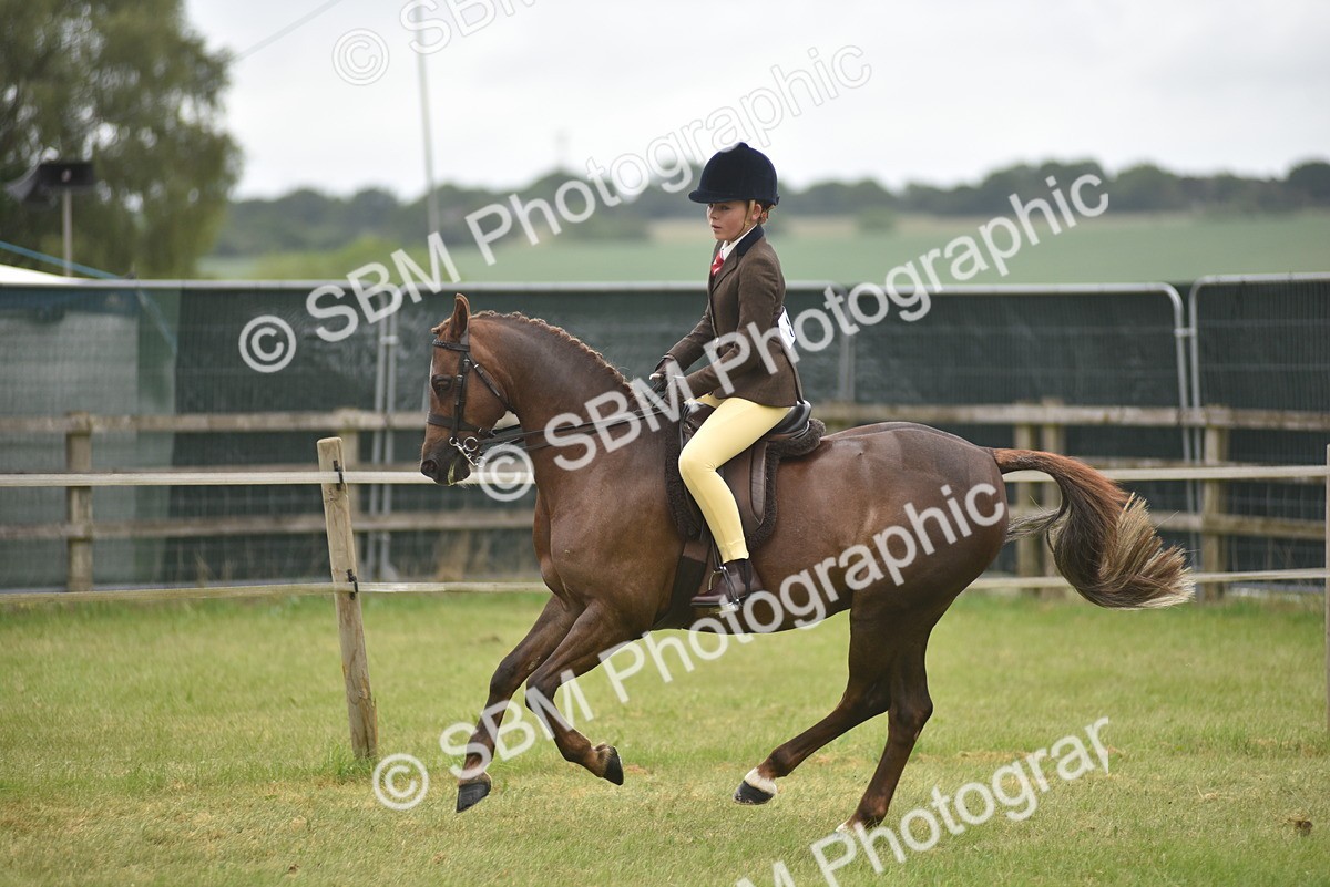 SBM_12014 - Class 110-112 - LIHS BSPS Performance Pones