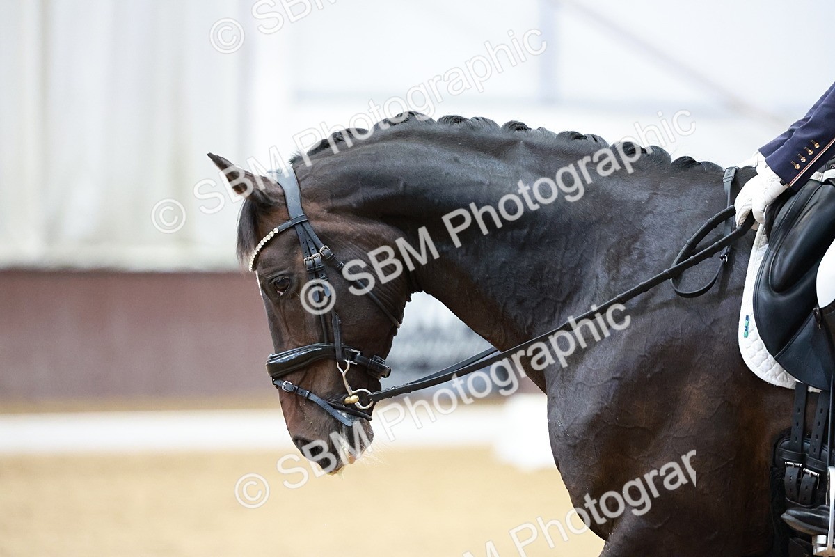 SBM_020041 - Class 12 - FEI PSG - 14.12-15.00