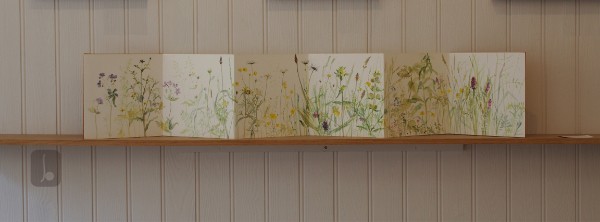 Meadow plants - Summer Light