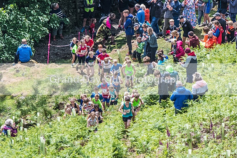 Coniston Juniors-59 - Coniston Gullies Junior Fell Races Sunday 25th May 2025