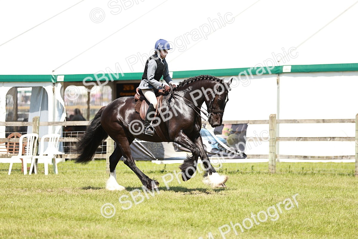 SBM_17362 - Class 110-111 - Training Stakes (70cms 80cms)