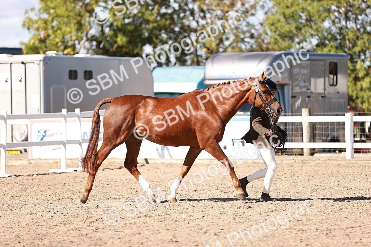 SBM_13312 - class 406 - IH Hunter